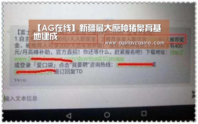 【AG在线】新疆最大原种猪繁育基地建成(图3) AG视讯